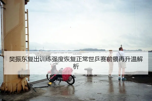 樊振东复出训练强度恢复正常世乒赛前景再升温解析