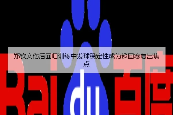郑钦文伤后回归训练中发球稳定性成为巡回赛复出焦点